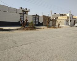 اصلاح درختان بهبهان